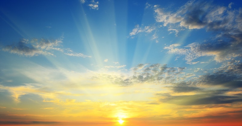 The Sunshine Vitamin